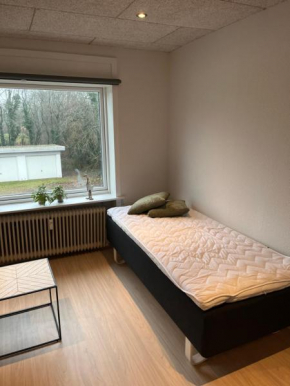 Billund Mini Hostel room 5